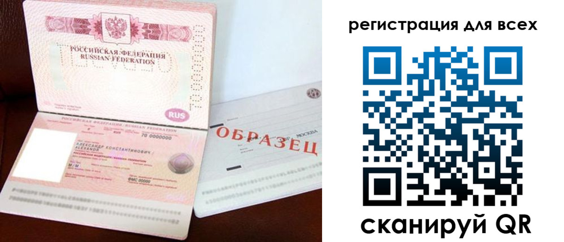 прописка гарантия в Александрове